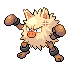 Primeape